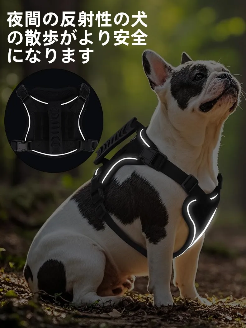 犬のお散歩グッズをコスパ良く揃える方法　完全ガイド