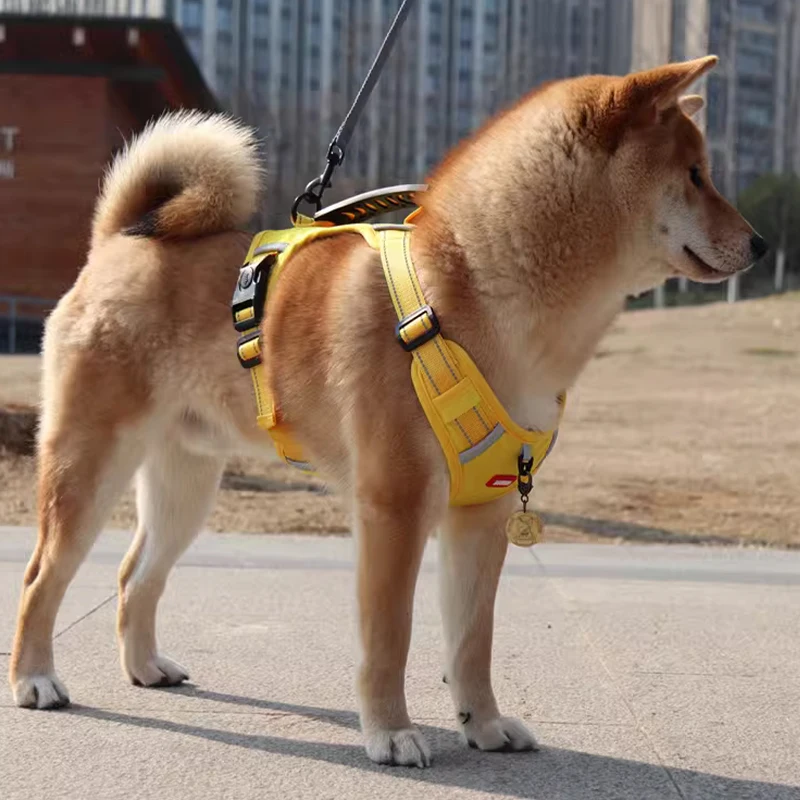 柴犬や小型犬にぴったりのハーネスリードは、通気性と快適さが鍵！どう選ぶ？