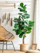 大型 カシワバゴムノキ フェイクグリーン 人工観葉植物 リビング用 装飾盆 鉢植え