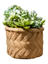 ミニ花壇風のコンクリート製フラワーベース【グリーン植栽・デスク用・小型】