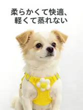通気性抜群！夏用犬用ハーネス【薄型・脱出防止・メッシュ仕様】
