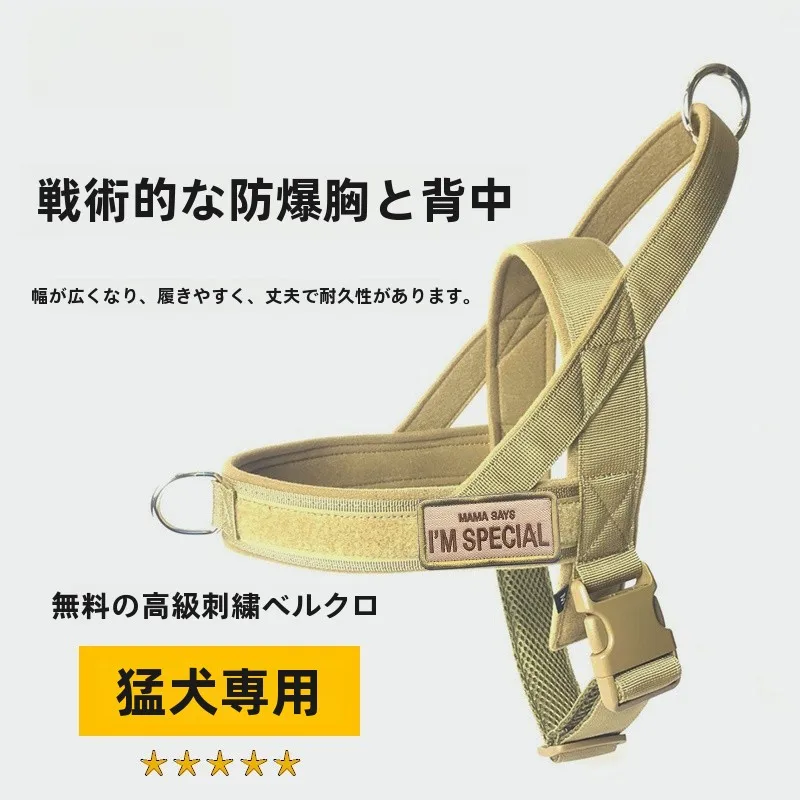 犬のお散歩グッズをコスパ良く揃える方法　完全ガイド