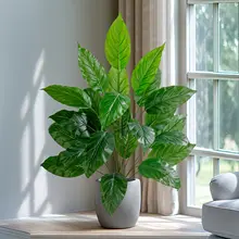 リアル触感のフィ（ゴムの木）インテリア小型ボタニカルバスケット【観葉植物・室内装飾用】