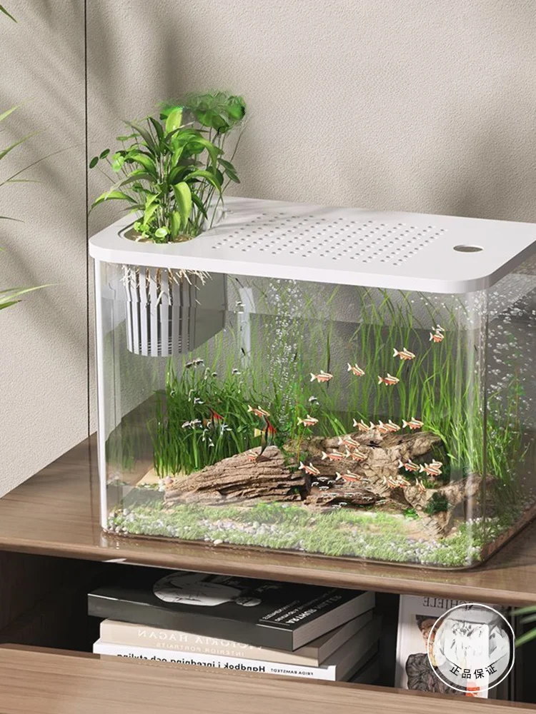 小型観賞魚水槽で水草を育てるための最適な設計とは？