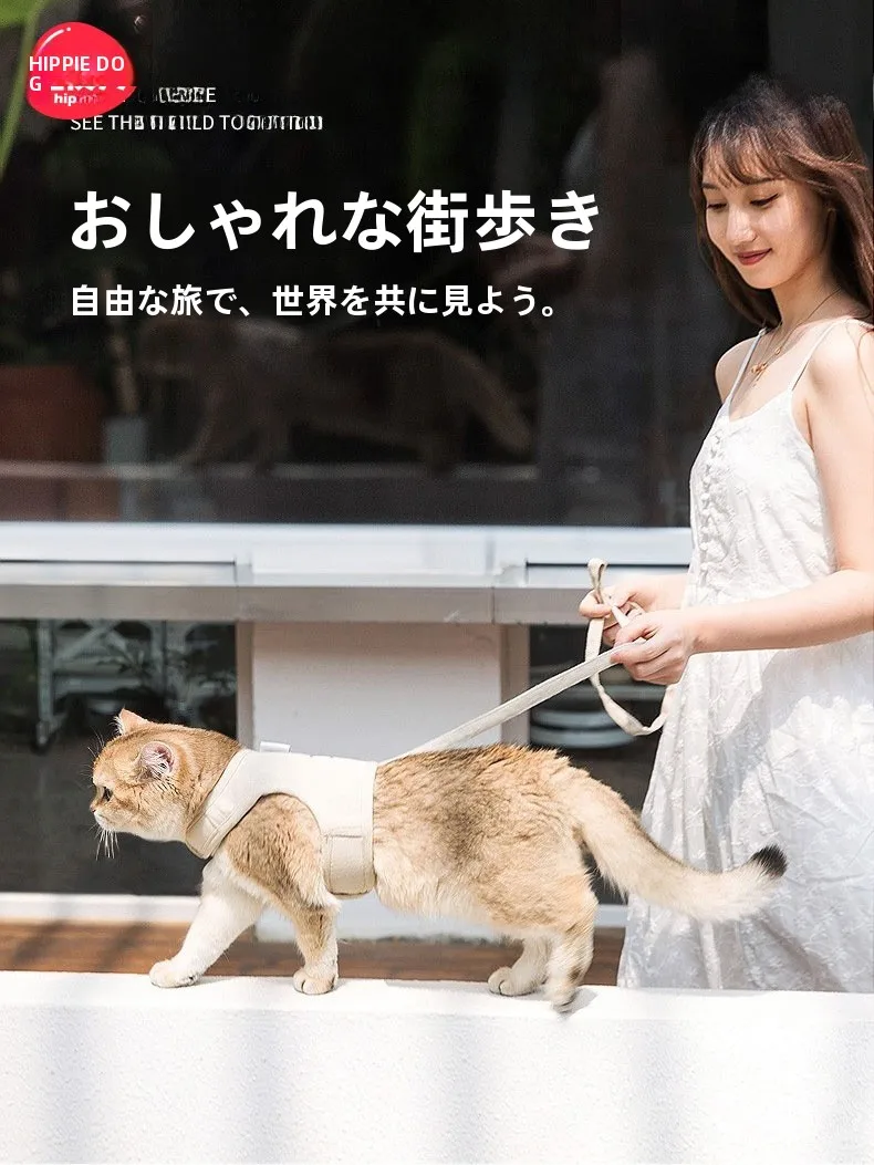 猫飼いが買ってよかったもの・悪かったもの正直に言う｜リード選びの完全ガイド