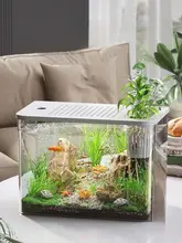 アクアリウム水槽 観賞用 コンパクト ベタ 金魚 水草レイアウト 室内 インテリア 「JOJO'S L. PD.」