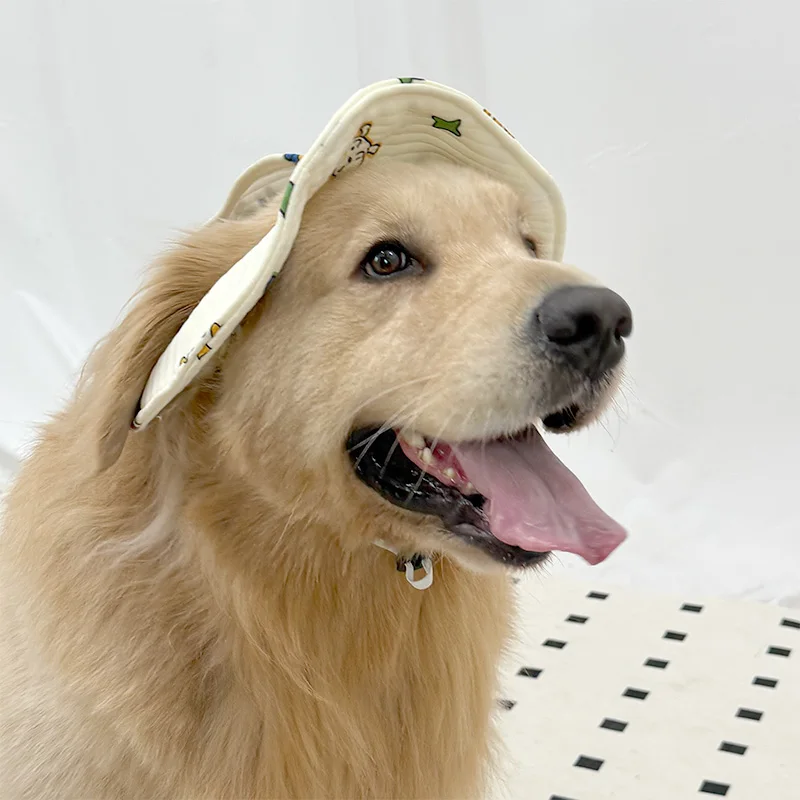 ゴールデンレトリバーの寒さ対策に最適な大型犬服の選定ガイド