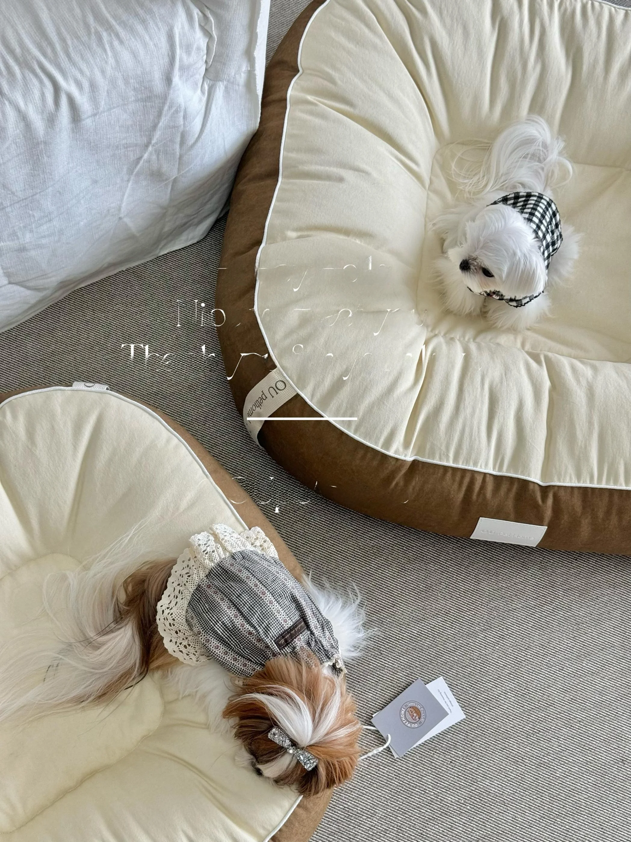 OUペットベッド 秋冬用：小型犬向けの四季通用マットの実用性と使い方