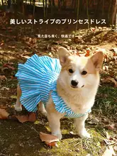 犬用春夏用タンクトップ【防晒・毛が抜けにくい・リード対応】（セットアップ対応）