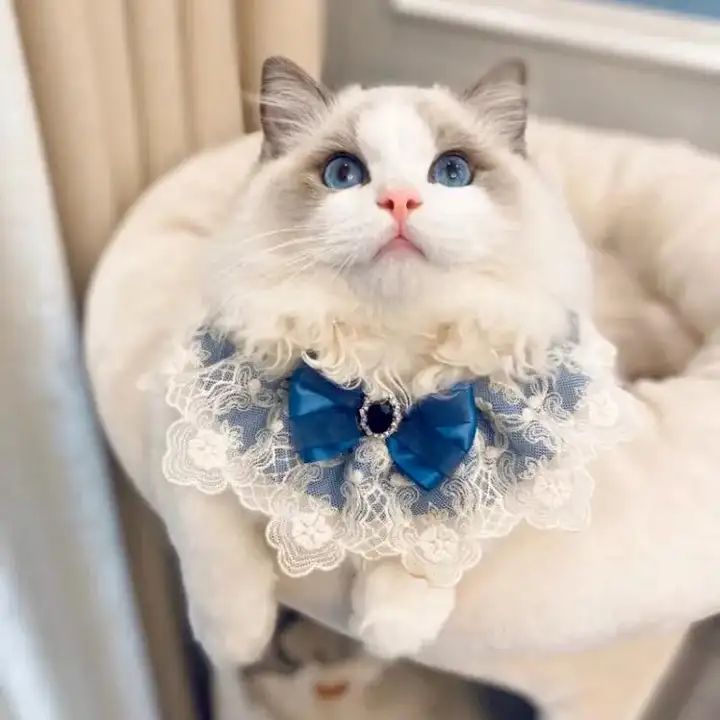 かわいい猫デザインの口水巾【プリンセス風・レース付き・犬猫用】
