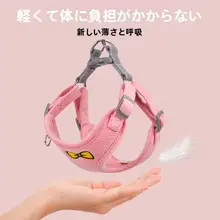 安心設計の反射素材使用！小型犬用ハーネス付きリード【テディベア犬・散歩用】（セットアップ対応）