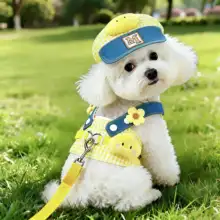 防脱落設計の犬用ハーネス付きリード【小型犬・幼犬用・首を締めない仕様】
