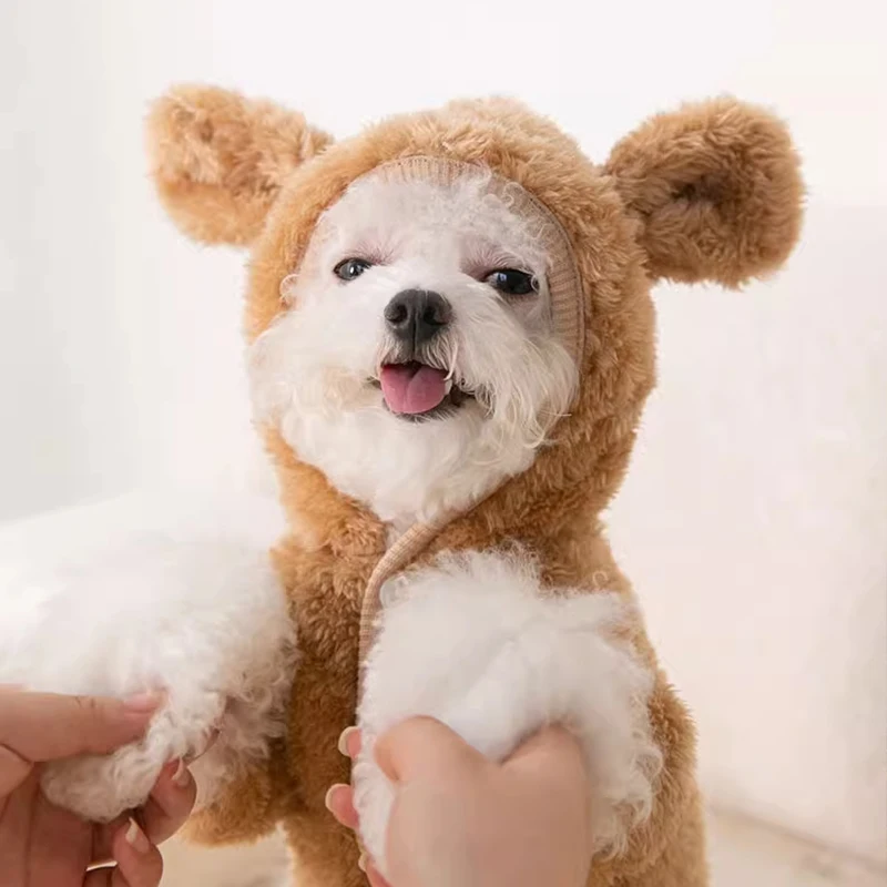 冬用犬服：小型犬対応の暖かいバウンドスタイルで寒さ対策