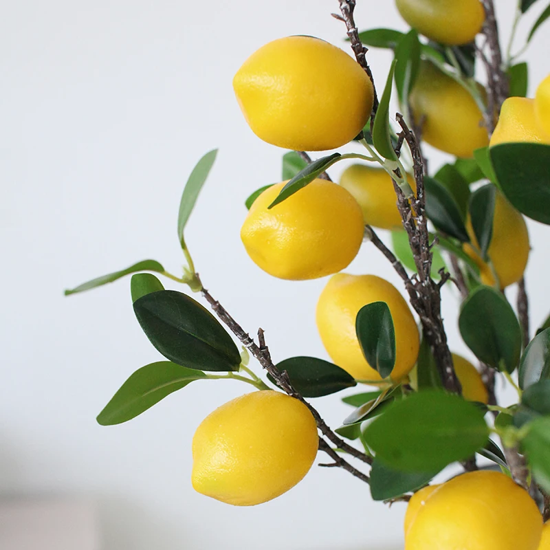 リビングに観葉植物を飾るなら、どうやって「枝」を選び出すべき？