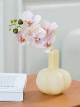 南十字星 デザインのガラス製花瓶【フランス風・ハイエンド感】