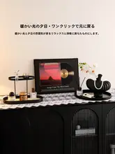 レコード アートオブジェ インテリア雑貨 ヴィンテージ おしゃれ 高級感 玄関 デスク テレビボード 飾り