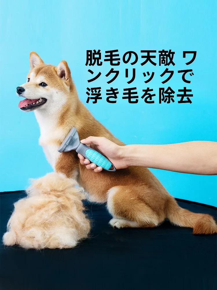 おすすめ毛玉取りの方法は？3選で家庭の毛取り悩みを解決