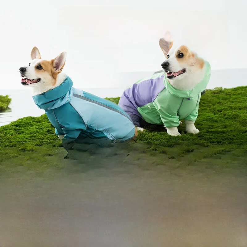 犬のお散歩グッズをコスパ良く揃える方法｜実際の使い心地から解説