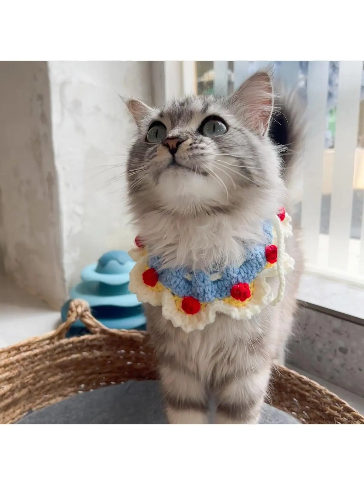 手作り猫用首輪：花飾り編み込みデザインの実用性と適用シーン