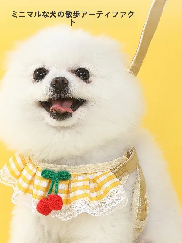 小型犬の外出に欠かせない「胸ハーネス付きリード」は、本当に必要なのか？
