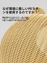 猫ハウス 猫用ベッド ラタン製 籐編み ハーフクローズ 通気性 オールシーズン 夏用 涼しい 安心 おしゃれ