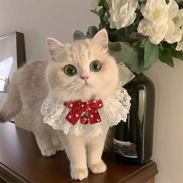 可愛い猫用首輪【プリンセス風・スカーフ装飾・鈴付き・口水キャッチャー】