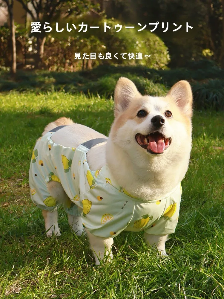 犬用防水コート：四季対応の汚れ防止アウターで散歩を安心に