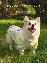 犬用防水コート【アウター・汚れ防止・四足デザイン・散歩用】