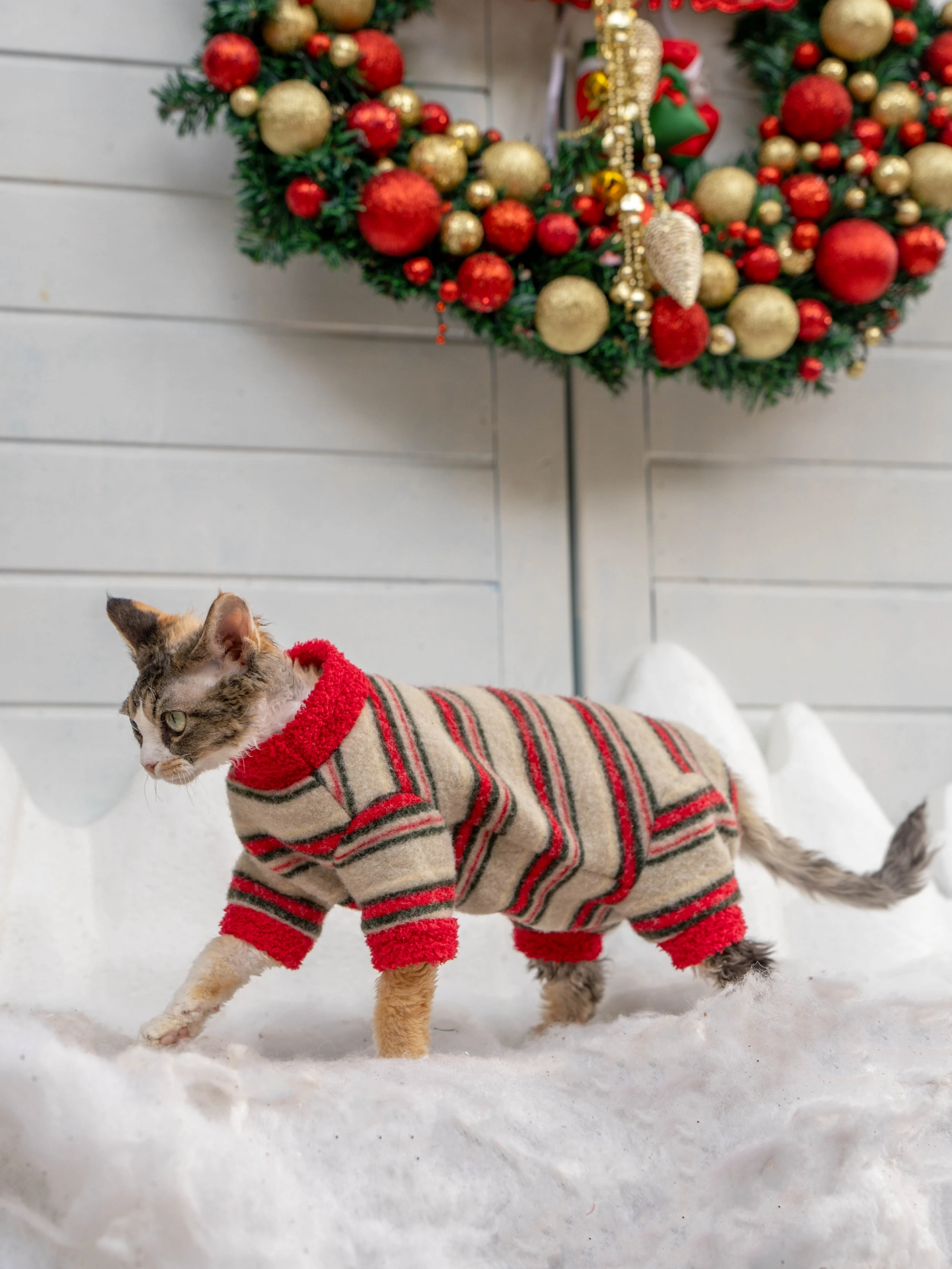 クリスマス雰囲気の4脚用デボンレックス猫用服は冬の寒さに強い厚手パーカーか