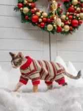 クリスマス雰囲気の4脚用デボンレックス猫用服【無毛猫・暖かい厚手パーカー】
