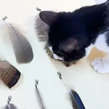 天然羽毛を使用した猫用おもちゃ【フェザー付き・猫じゃらし】