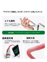 USB Type-C ケーブル 100W高速充電 2in1 ストラップ付き ショート コンパクト iPhone 16 15 対応 「UGREEN」