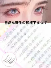 自然な透明な下まつげ【リアルな質感・軽やかでナチュラル】