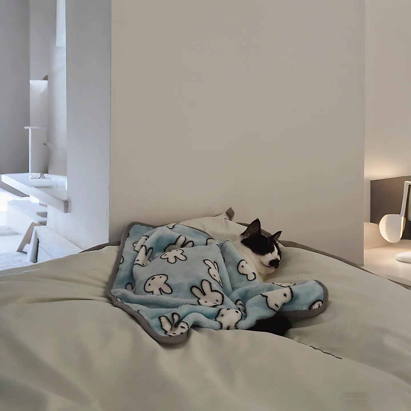 猫デザインのコーラルフリース毛布：室内ペットの冬期快適性を支える厚手加厚タイプ