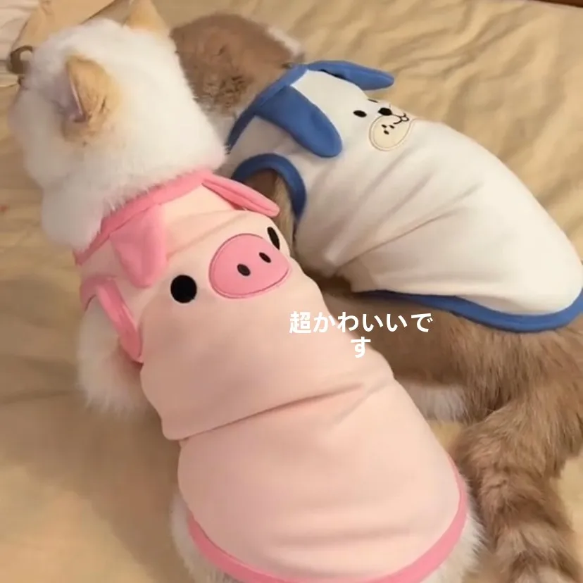 かわいい猫用春秋服：無袖ベストと毛が抜けにくいデザインの実用性解析