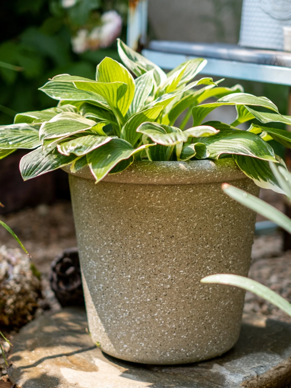 植木鉢 大型 室内外に適した エコプラスチック レジン 擬似陶器