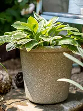 植木鉢 大型 室内外に適した エコプラスチック/レジン/擬似陶器
