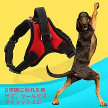 犬用 胸部ハーネス＆リードセット【伸縮性・ボーダーコリー・ラブラドール・ゴールデンレトリバー対応】