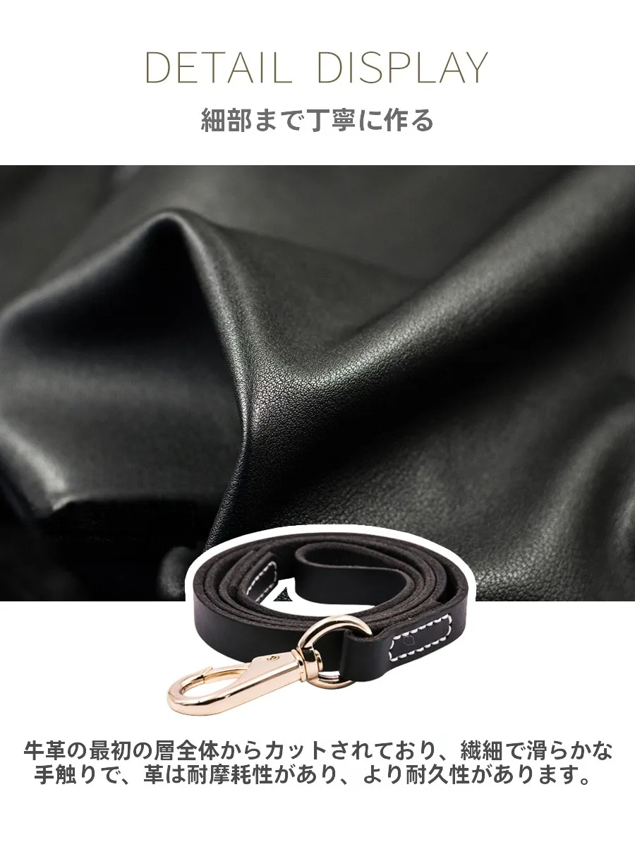 犬のお散歩グッズをコスパ良く揃える方法｜牛革リードの本質と選び方の完全ガイド