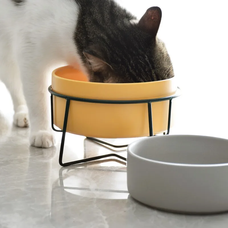 猫飼いが買ってよかったもの・悪かったもの、正直に言うなら？