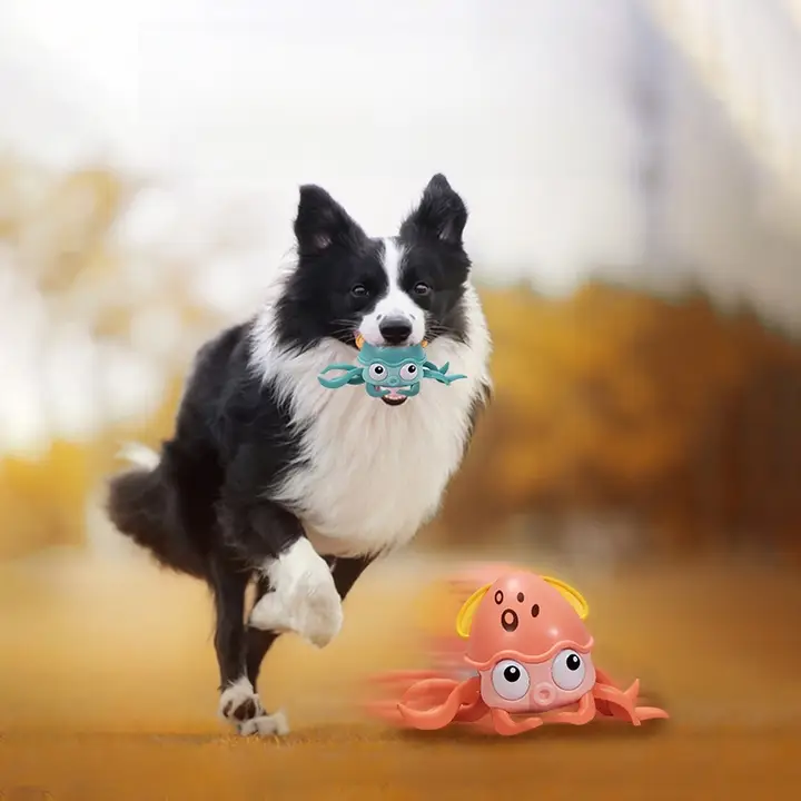 おもちゃ 子犬 解消 噛む ぴったりビションテリア テディ 耐噛