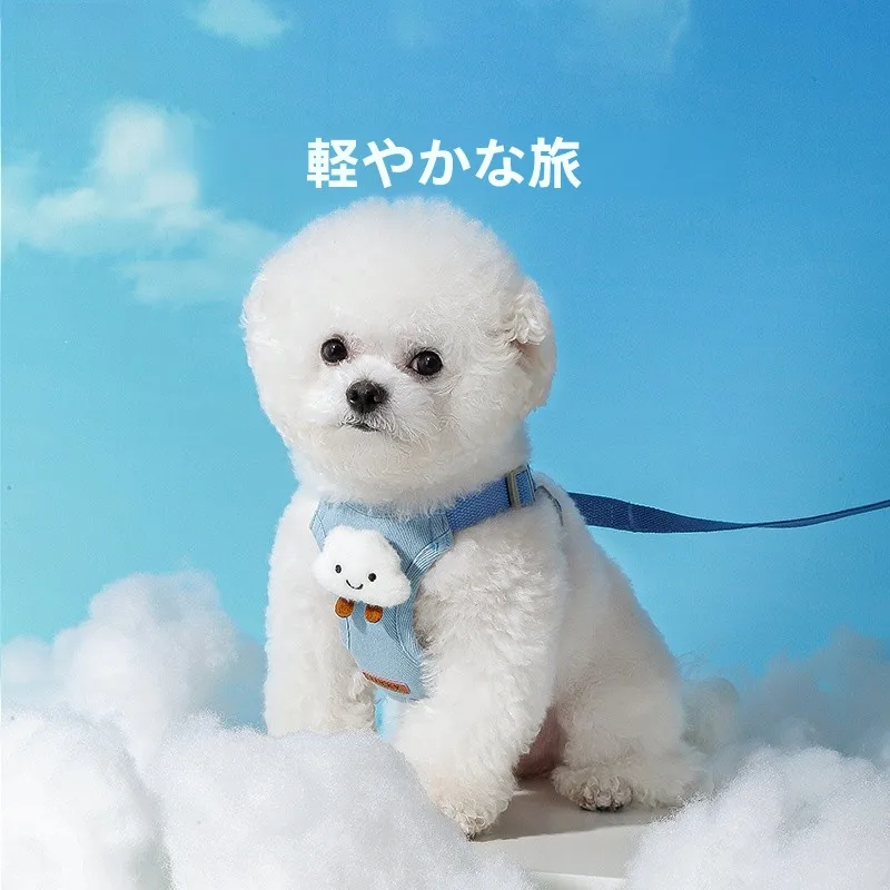 犬のお散歩グッズをコスパ良く揃える方法：hipidog 小型犬用ハーネス付きリード【テディベア・ビションフリーゼ対応】