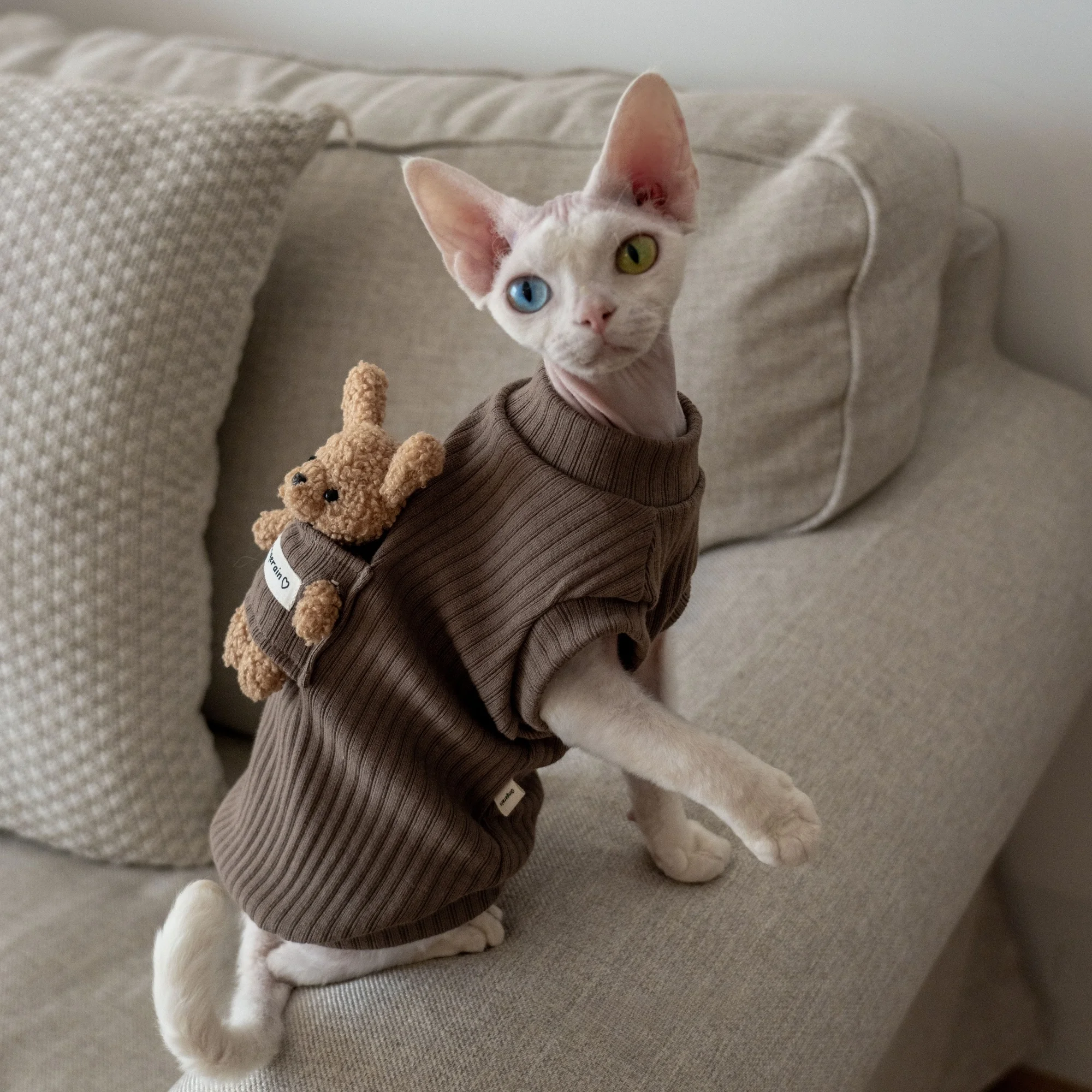 猫飼いが買ってよかったもの・悪かったもの正直に言う｜保温ベストの実測ガイド