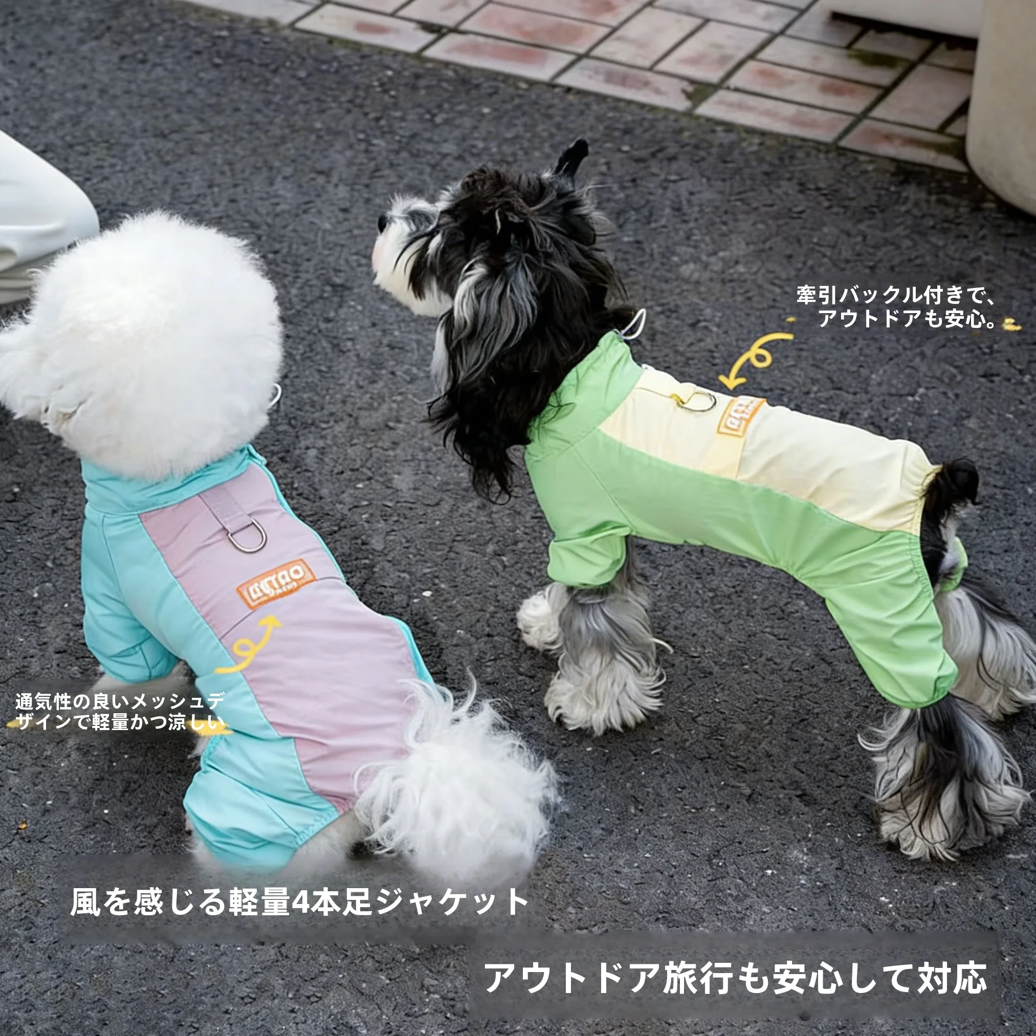 春用犬用四脚服：初心者が外出時にも安心できる防水汚れ防止スタイル