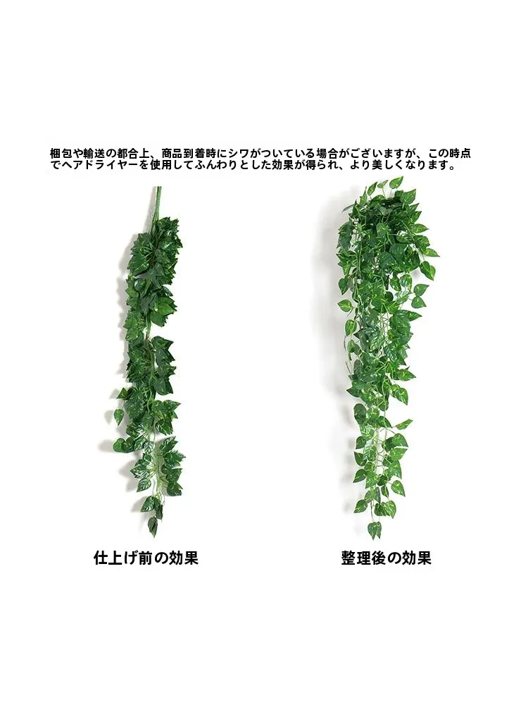 韓国インテリアを再現｜カフェ風部屋の作り方　リアルな壁掛け植物で空間の呼吸感を創る