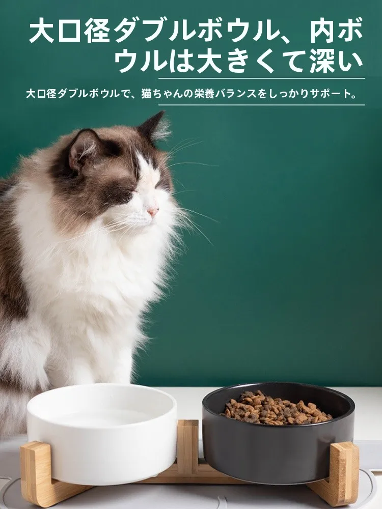 猫飼いが買ってよかったもの・悪かったもの正直に言う：猫用セラミックボウルの実用性と設計原理