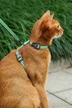 zeze ペット用リード【迷彩柄・H型ハーネス・小型犬・猫用・外出用品】