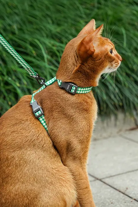 zeze ペット用リード【迷彩柄・H型ハーネス・小型犬・猫用・外出用品】
