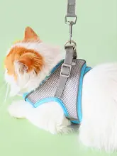 小型犬用ハーネスリード【幼犬用・引っ張り防止・パッド付き・トイプードル/Bichon Frise対応】