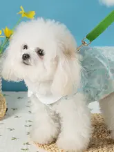 犬用プリンセススタイルワンピース【夏用・薄手・テディベア・ヨークシャー・小型犬用】